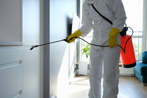 Home Mold Removal in Lauderdale Lakes, FL
